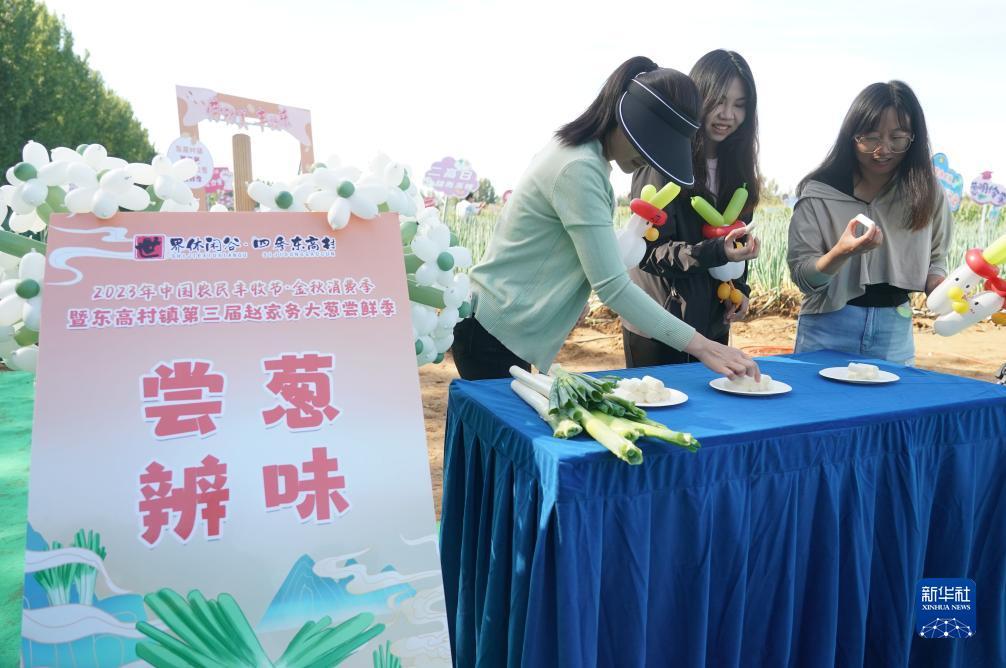 打牌网怎么注册